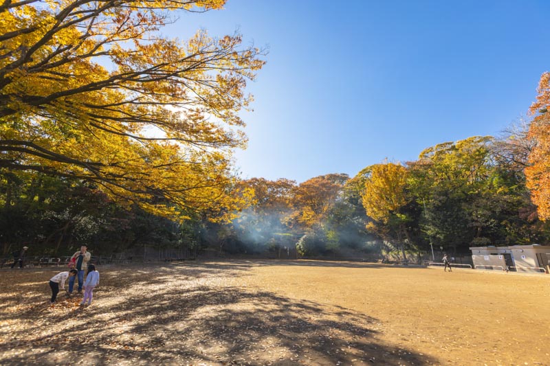 池上本門寺にほど近い場所にある「本門寺公園」