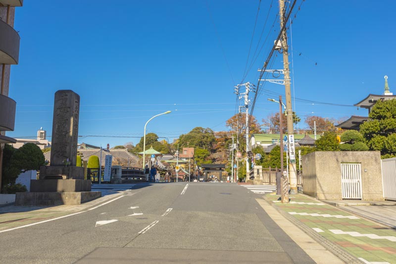 「池上本門寺」と吞川沿いの街並み。束田先生お気に入りスポットだという