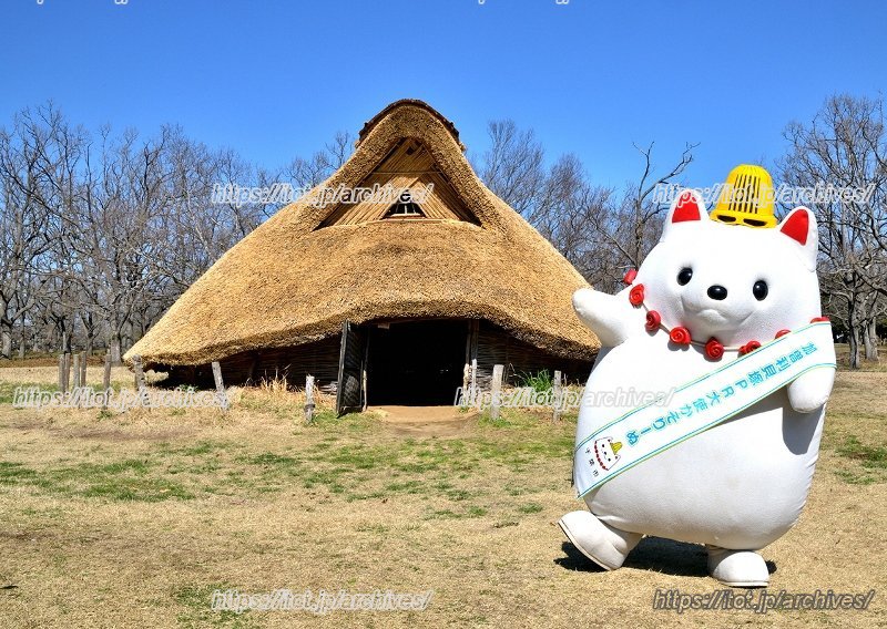 特別史跡「加曽利貝塚」（提供：（公社）千葉県観光物産協会館）