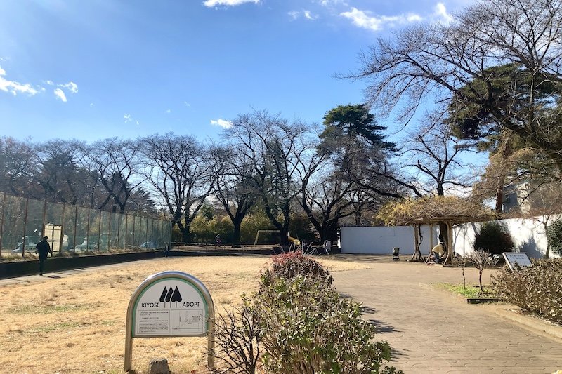 現在の「清瀬市立中央公園」の様子