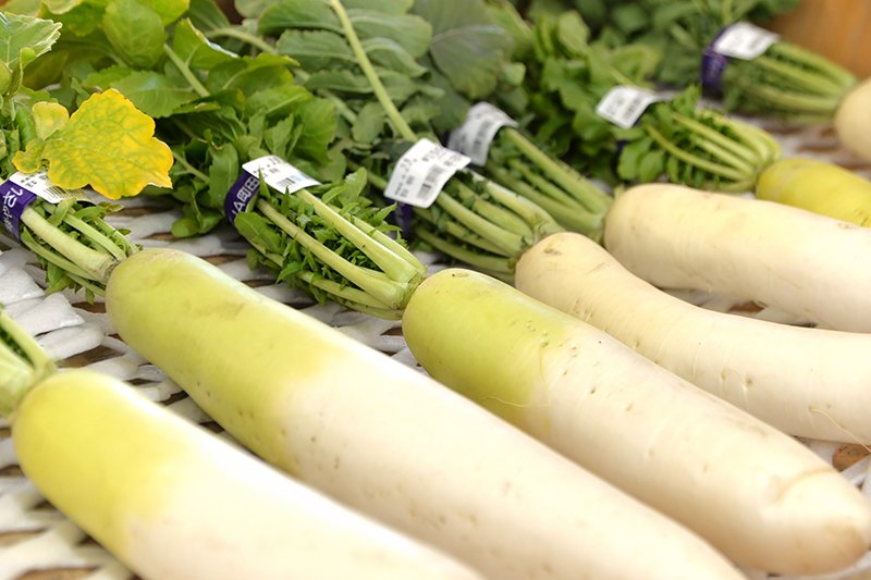 葉のついた大根