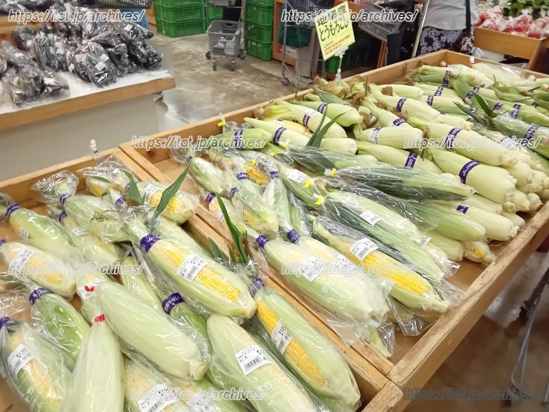 夏にはとうもろこしが並ぶ（提供：JA町田市（町田市農業協同組合）公式X）