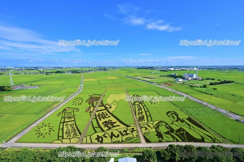 能登の復興応援をテーマとした2024年の田んぼアート（行田市提供）