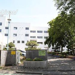 自然豊かな環境で、地域に見守られながら成長できる「船橋市立行田西小学校」