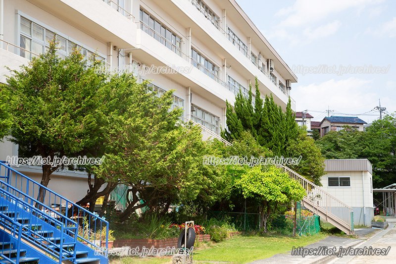 緑に囲まれた校舎