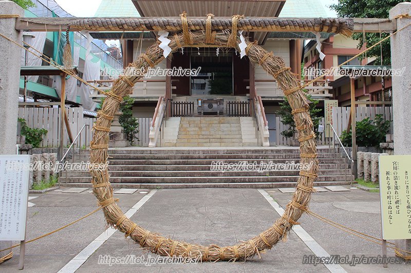 御社殿正面に用意された茅の輪