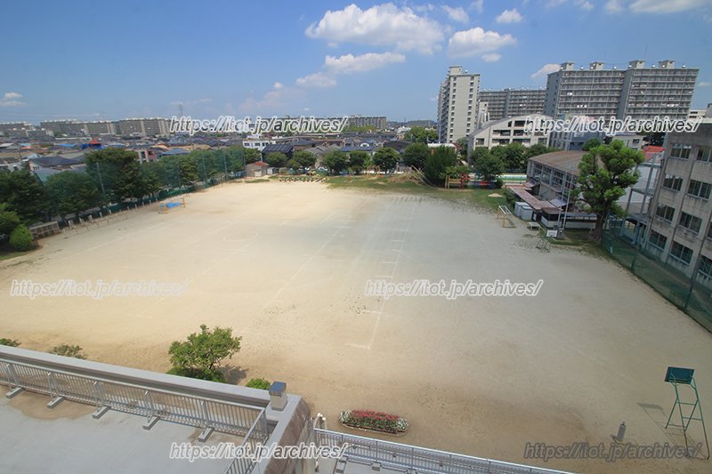 校舎5階から見た校庭